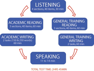 ieltstimes